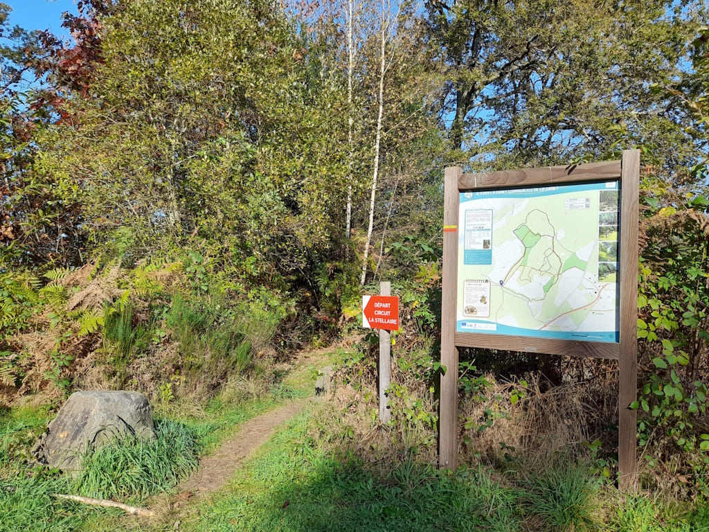 Forêt communale de Lifarnet - photo 4