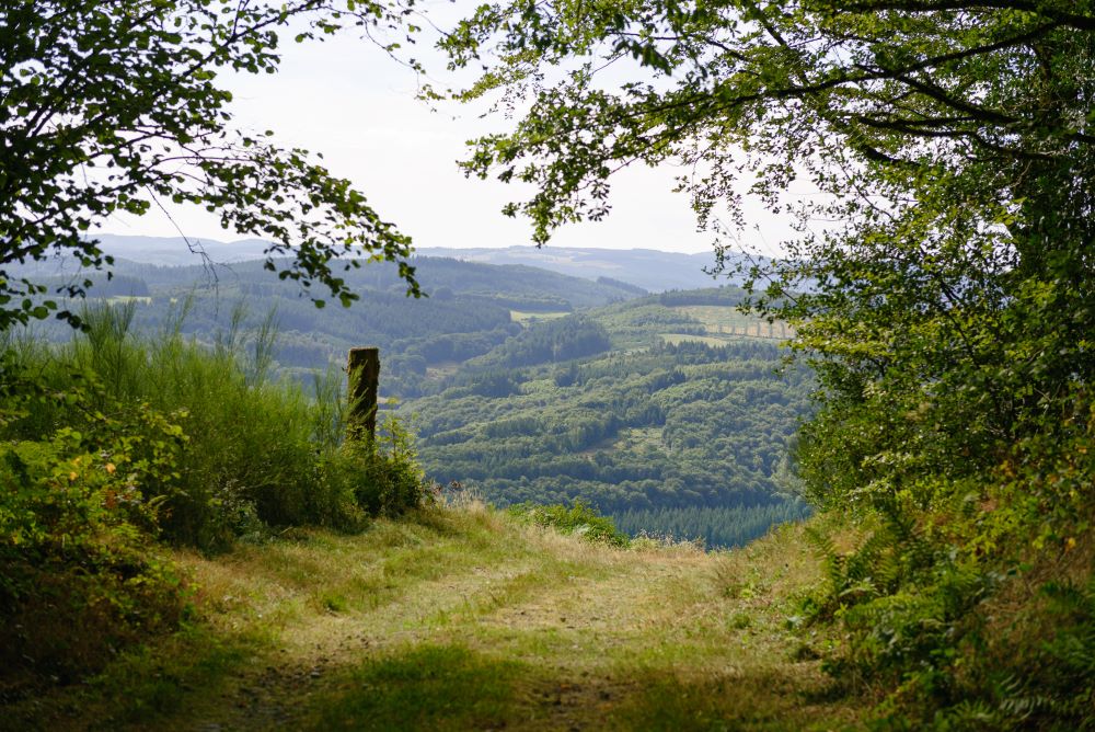 Table d'orientation du Mont-Cé - photo 2