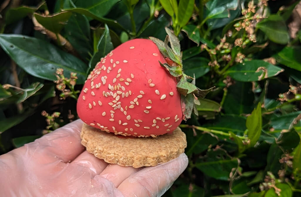 Ateliers pâtisserie avec Papilles
