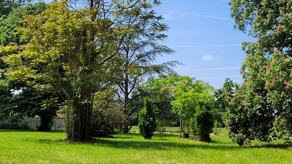 La Villa Saint-Pierre, La Trimouille - photo 3