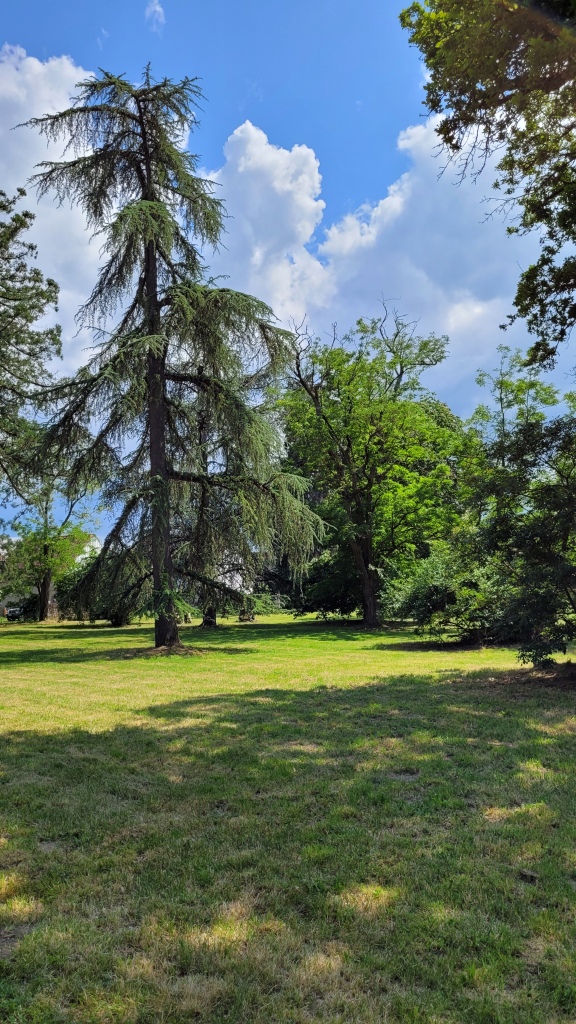 La Villa Saint-Pierre, La Trimouille - photo 10