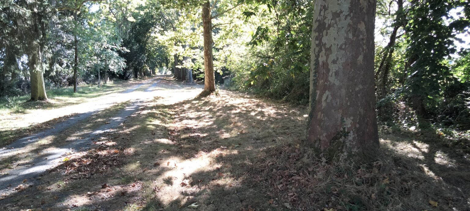 Château la Séchère, Usson-du-Poitou - photo 2