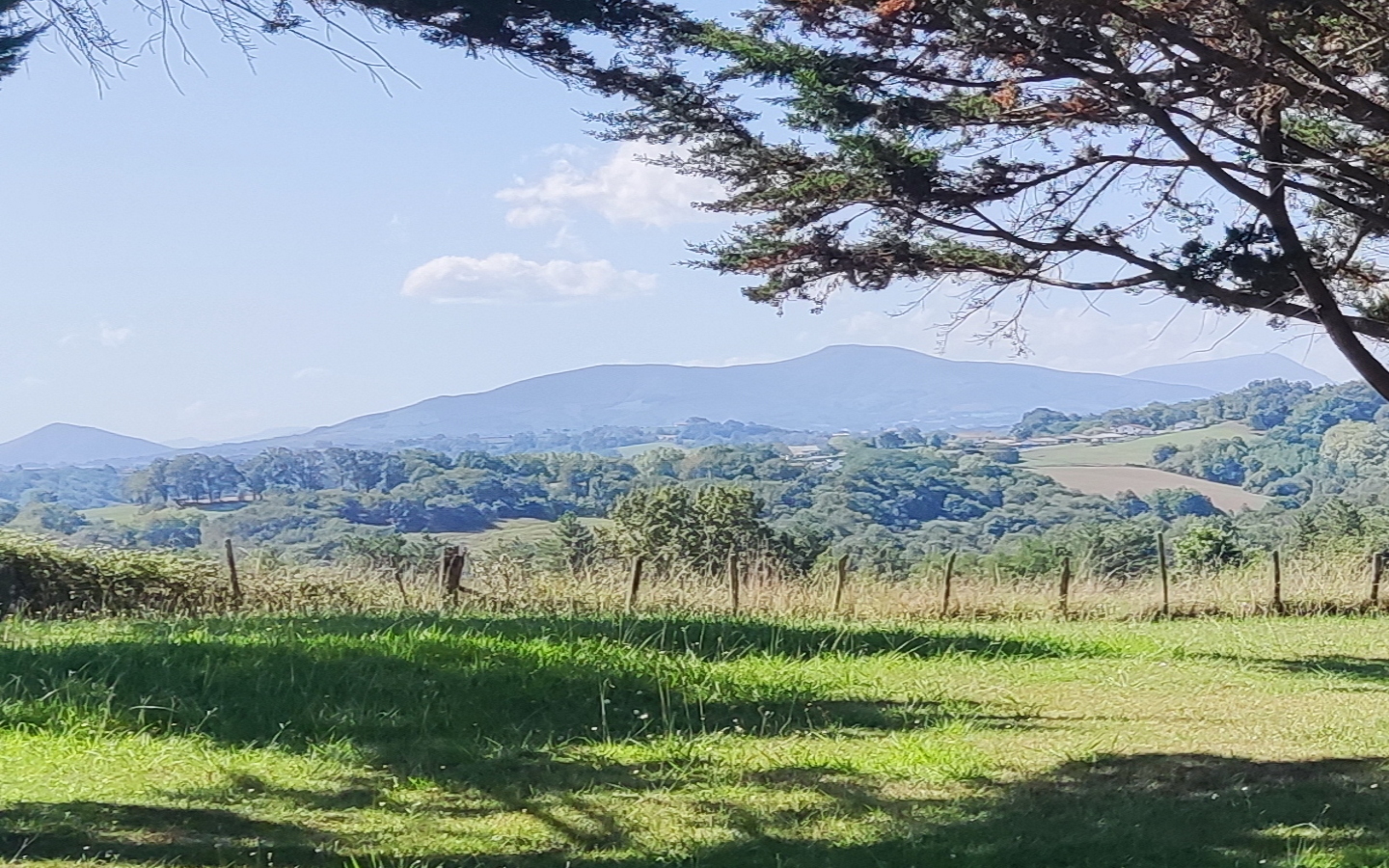 Fromage de l'Abbaye de Belloc