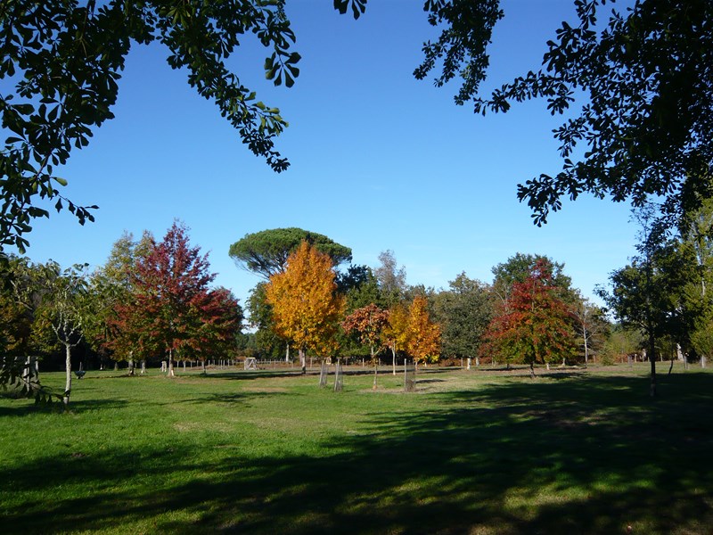 Parc Botanique des Landes Girondines, Préchac - photo 2