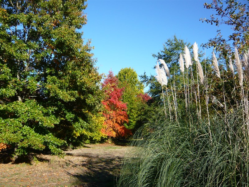 Parc Botanique des Landes Girondines, Préchac - photo 4