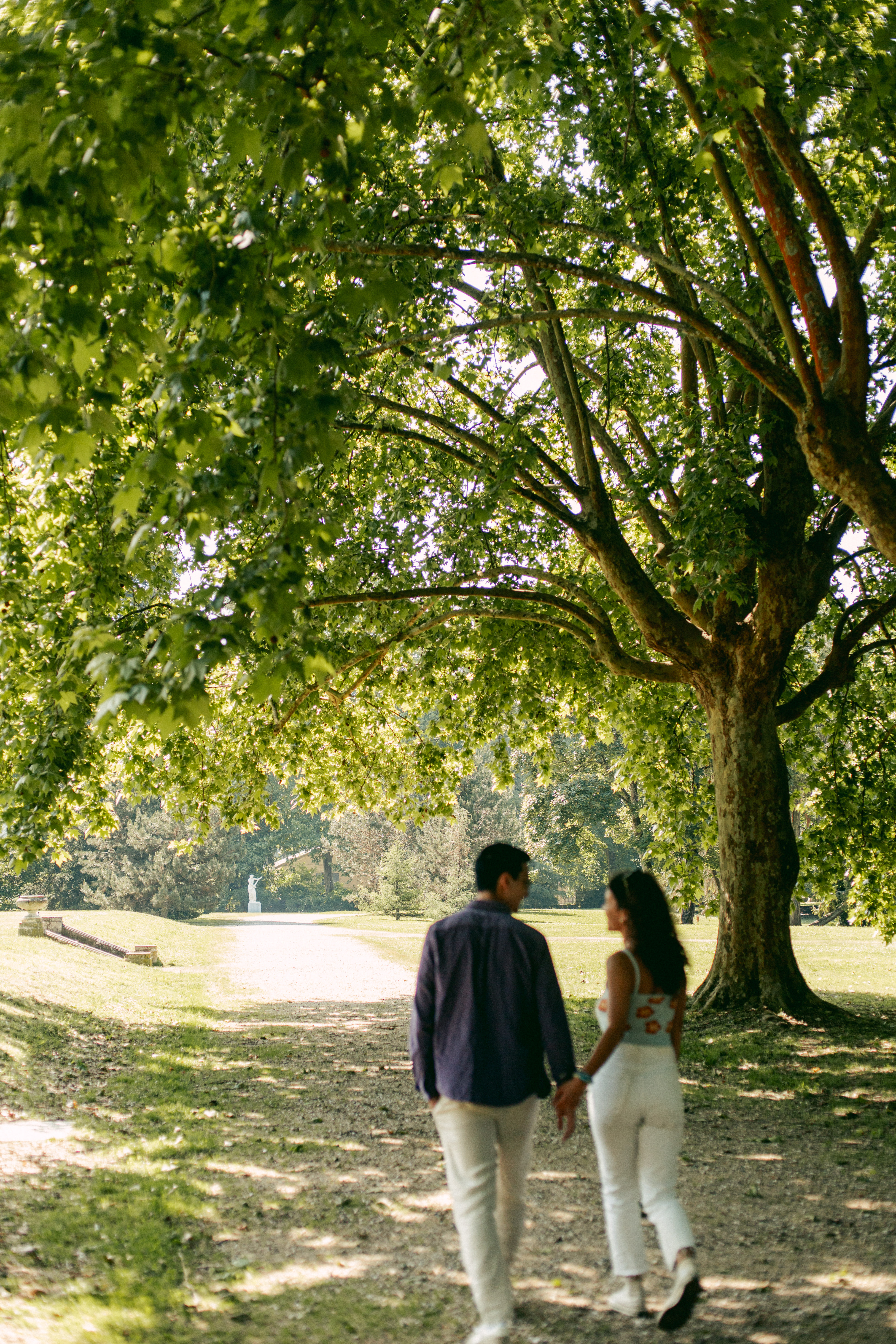 Domaine Chavat, Podensac - photo 5