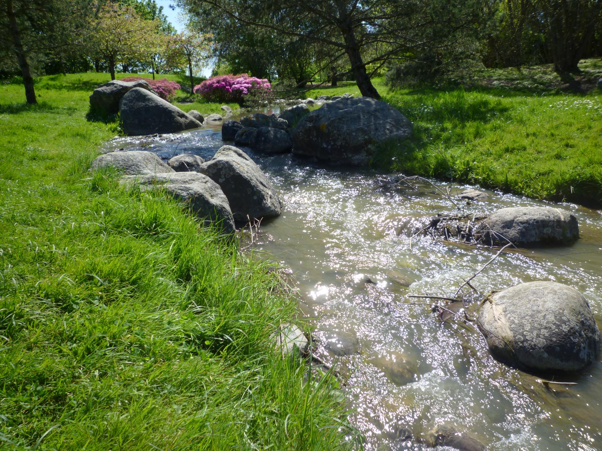 Réserve écologique des Barails, Bordeaux - photo 3
