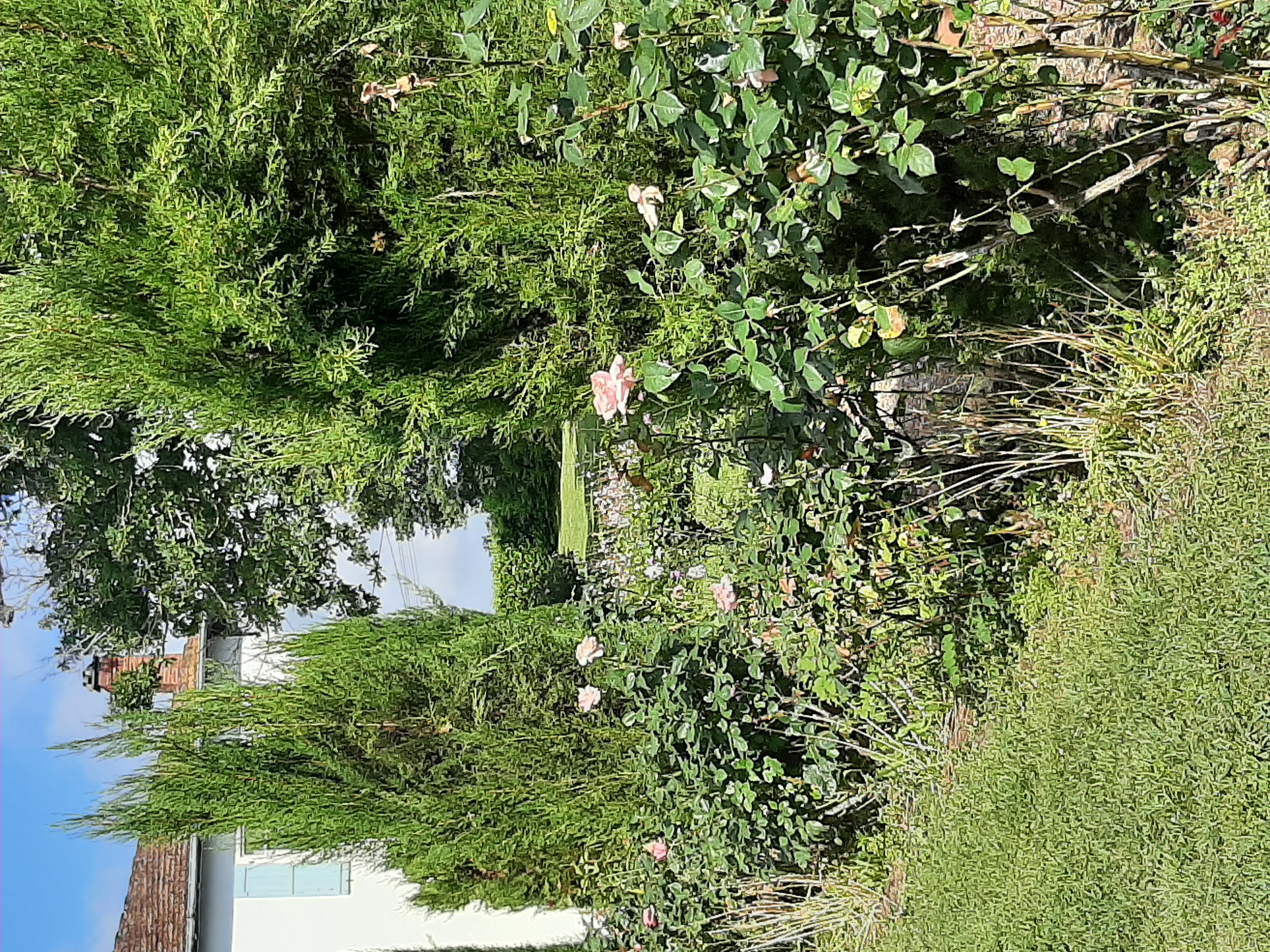 Maison Heouguere, Castel-Sarrazin - photo 11