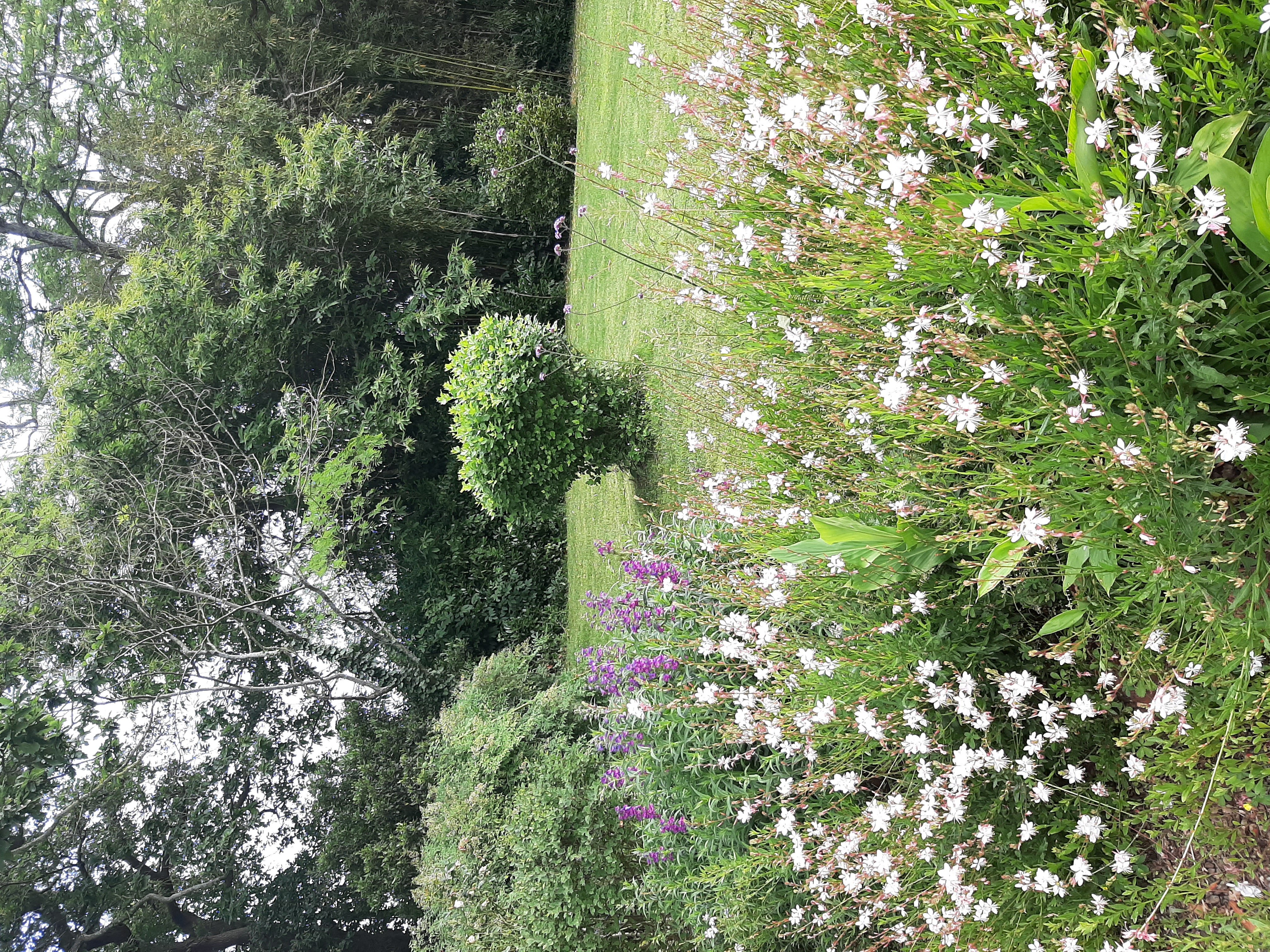 Maison Heouguere, Castel-Sarrazin - photo 12