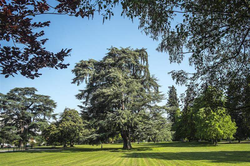 Parc Lawrence