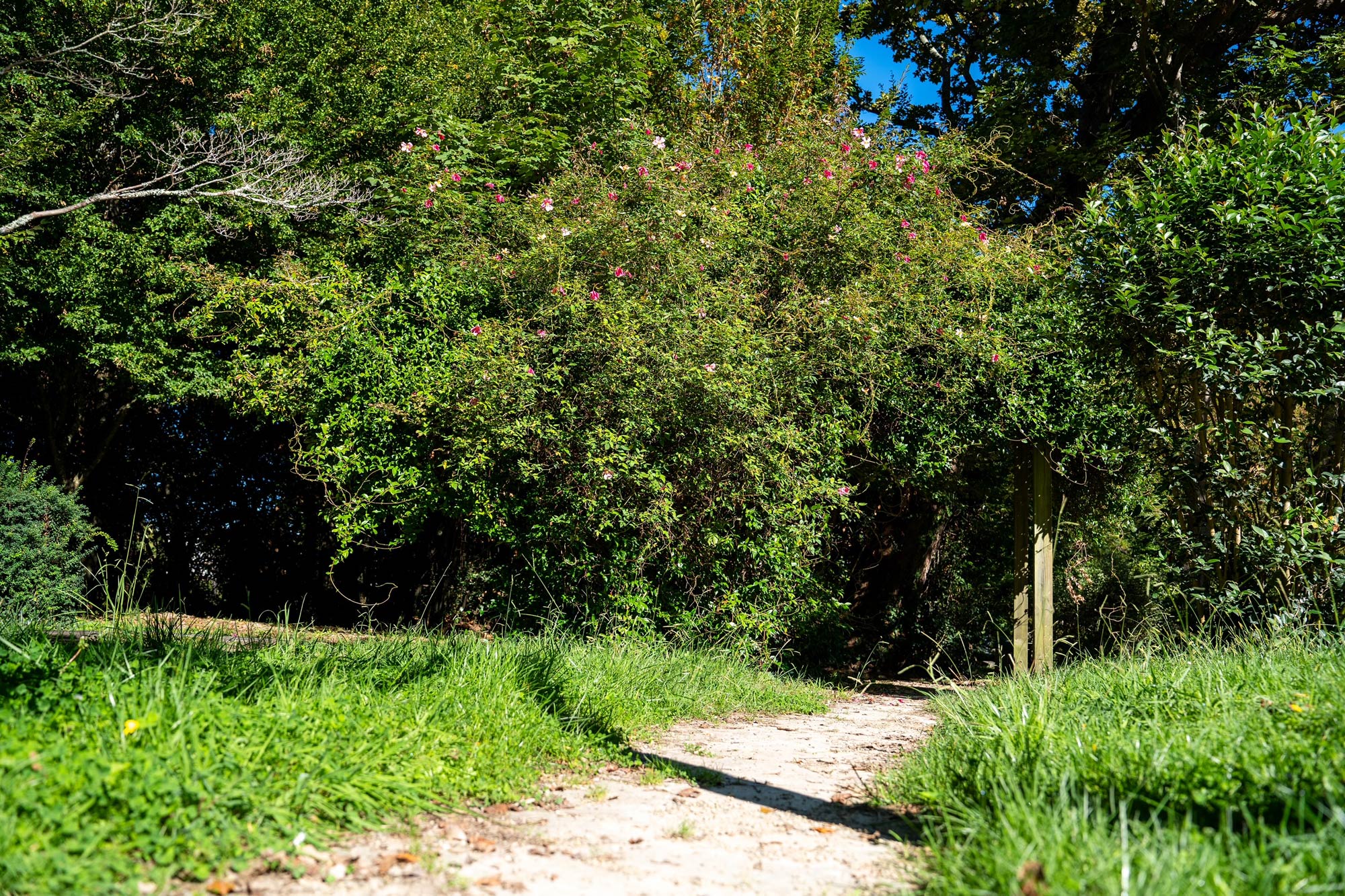 Parc Montaury, Anglet - photo 5