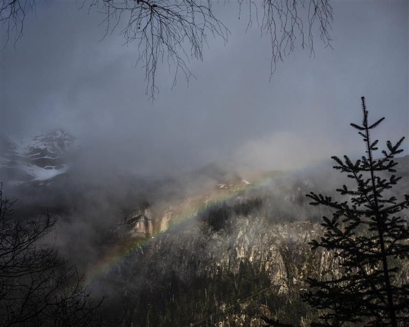 Sorties encadrées dans le Parc National des Pyrénées