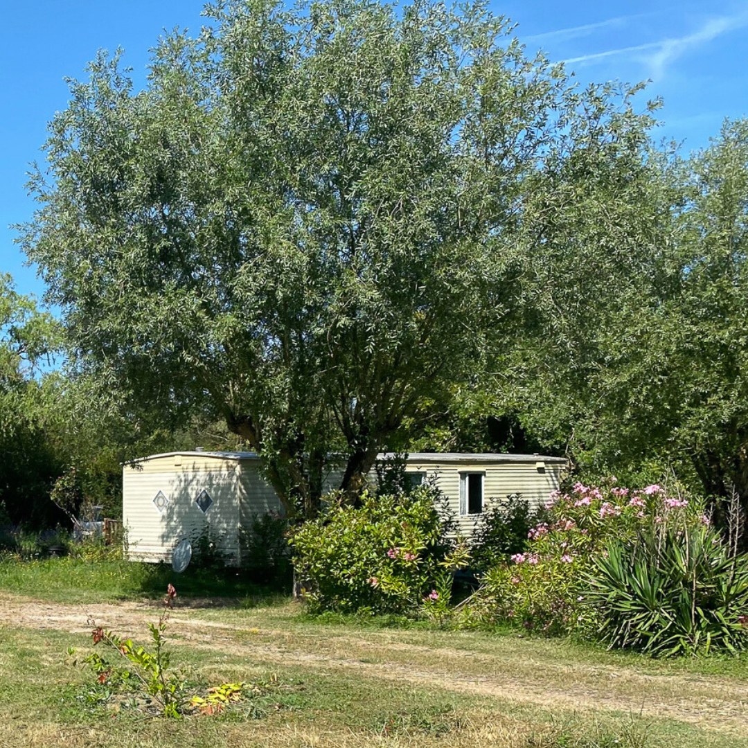 Camping du Parc Saint-Vincent, Lévignac-de-Guyenne - photo 15