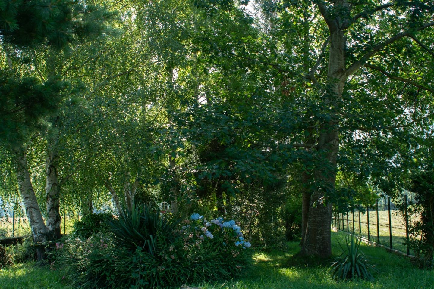 Les Pasots, Asasp-Arros - photo 11