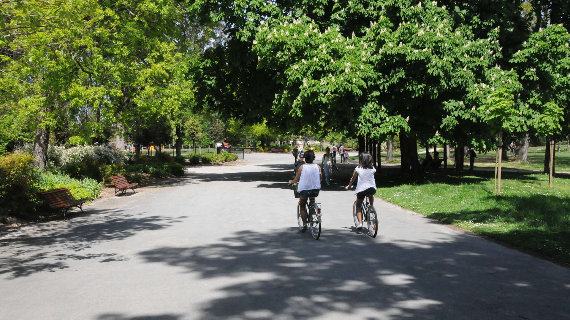 Parc Bordelais, Bordeaux - photo 5