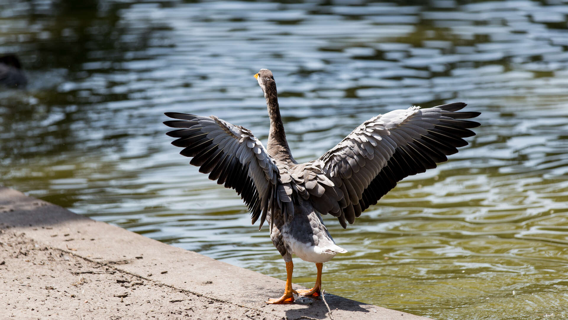 Parc Bordelais, Bordeaux - photo 2