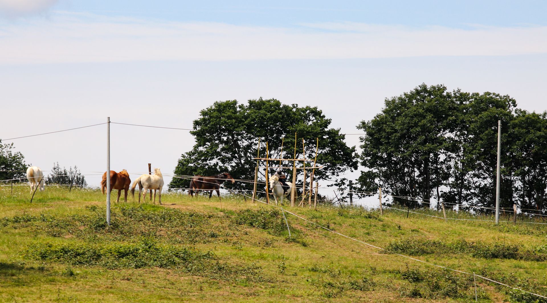 Parc d'aventures à cheval