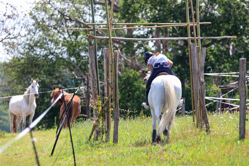 Parc d'aventures à cheval