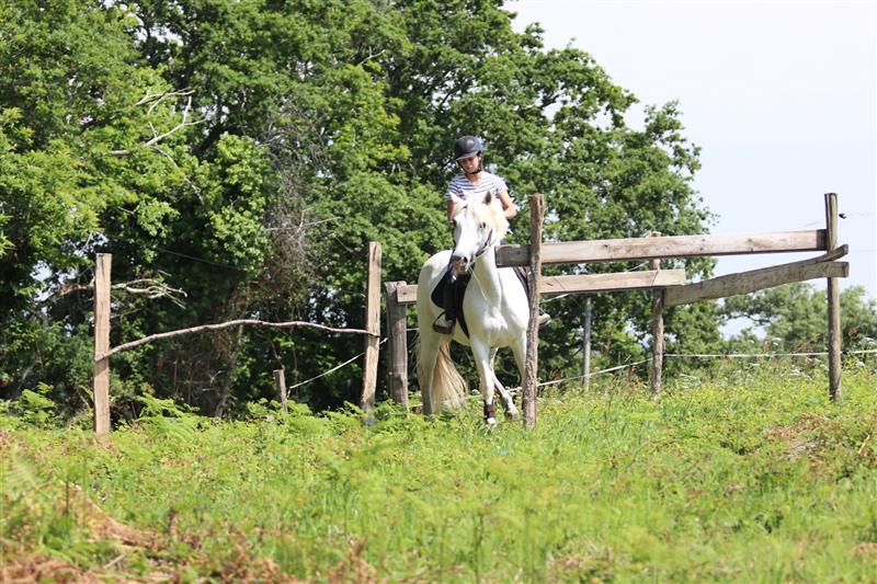 Parc d'aventures à cheval