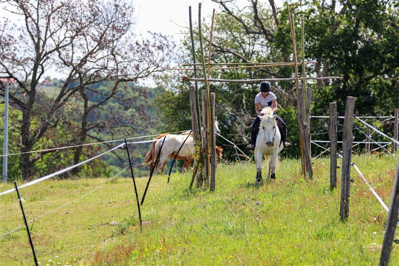 Parc d'aventures à cheval