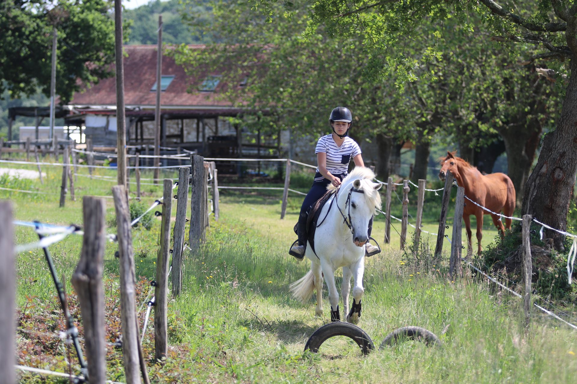 Parc d'aventures à cheval