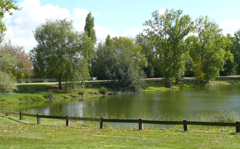 Parc de Cantefrêne
