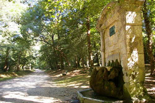 Le Parc Royal de la Garenne, Nérac - photo 8
