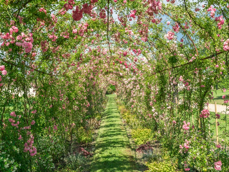 Parc du château Kirwan, Margaux-Cantenac - photo 8