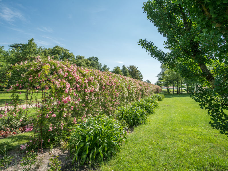 Parc du château Kirwan, Margaux-Cantenac - photo 5