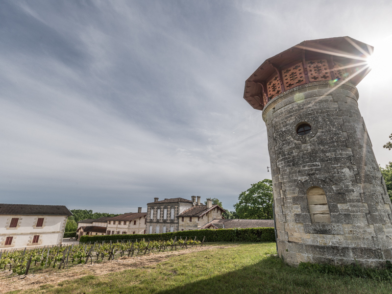 SAS Domaines Bouteiller - Parc, Cussac-Fort-Médoc