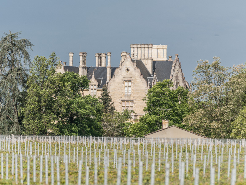 SAS Domaines Bouteiller - Parc, Cussac-Fort-Médoc - photo 10