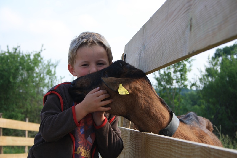 Parc du Griffon, Caubon-Saint-Sauveur - photo 11