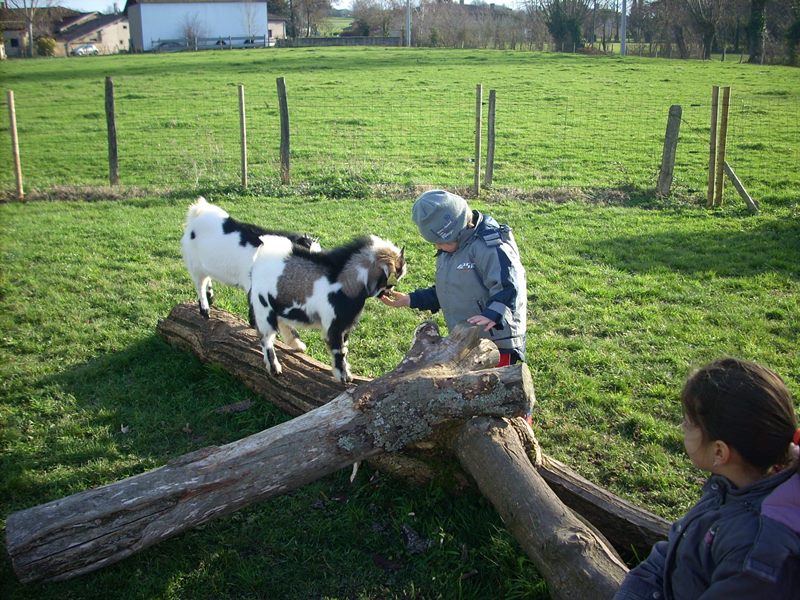 Parc du Griffon, Caubon-Saint-Sauveur - photo 7