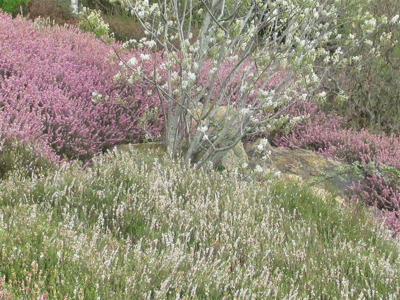 Parc floral et animalier Oihanartea
