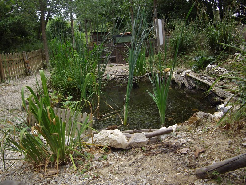 Parc Retour aux Sources - photo 4