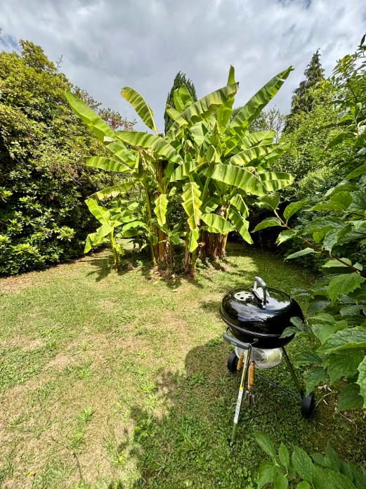 Meublé de Tourisme RELIER, Perpezac-le-Noir - photo 7