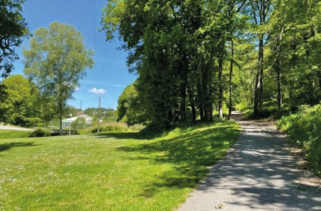 La Palaisienne, Le Palais-sur-Vienne - photo 2