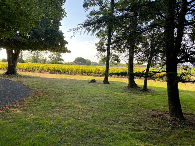 Château d'Osmond - photo 3