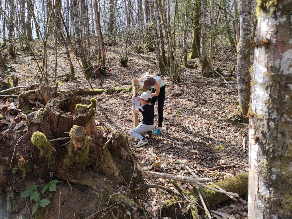 Parcours permanent d'orientation - Forêt des Allois - photo 3