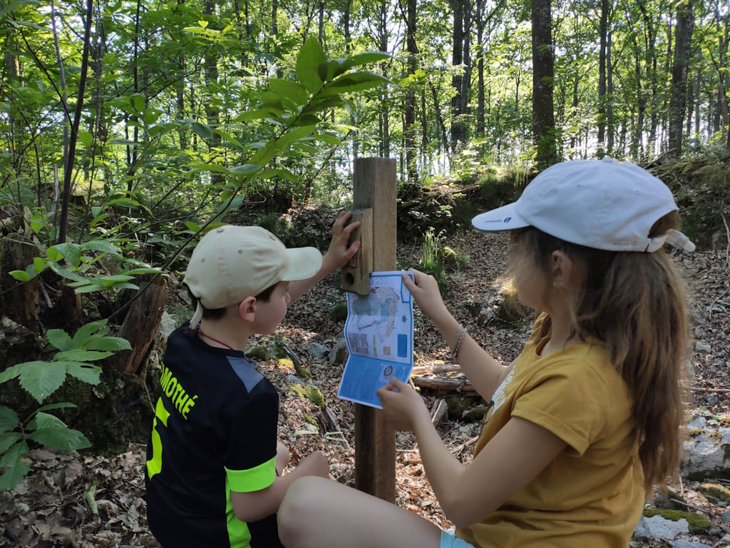 Parcours permanent d'orientation - Forêt des Allois