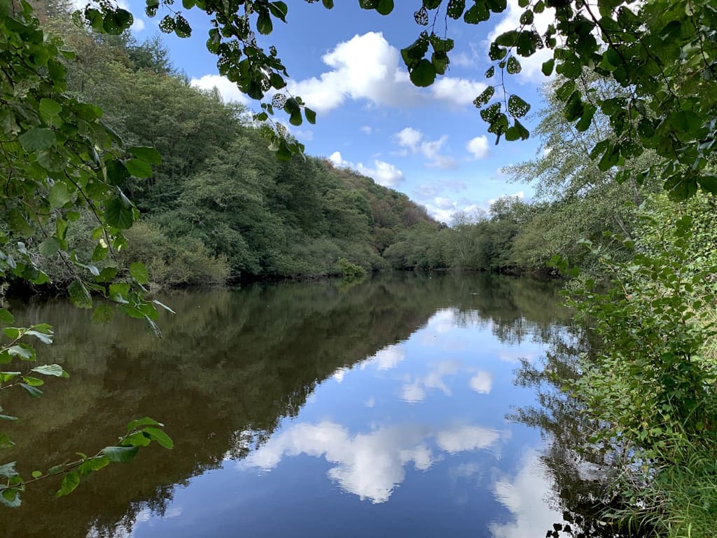Parcours Pêche Carpe de nuit sur la Vienne à Saint-Léonard de Noblat, Saint-Léonard-de-Noblat - photo 2