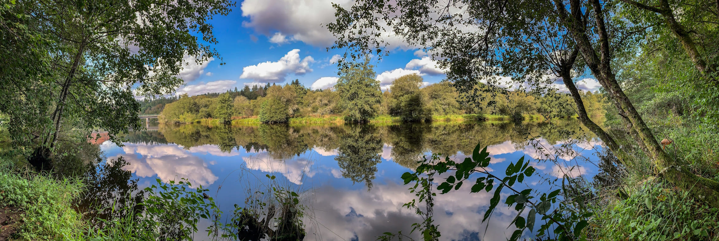 Parcours Pêche Carpe de nuit sur la Vienne à Royères
