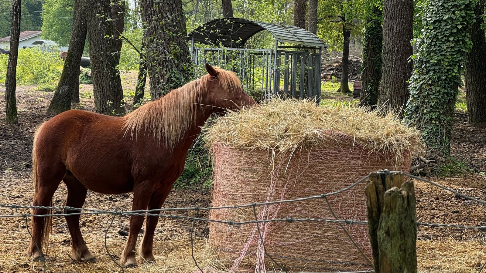 Parcours des Graves - Boucle Bleue, Léognan - photo 7