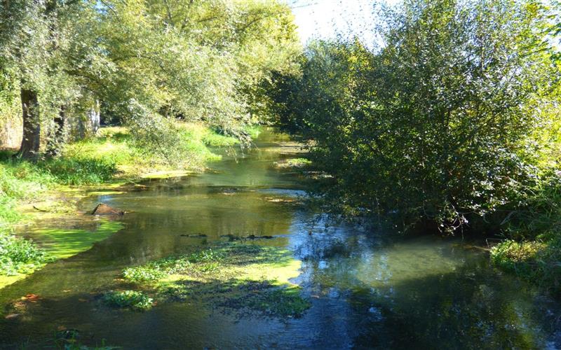 Parcours patrimoine : entre ciel et terre