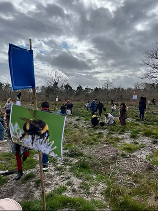 Partez à l’aventure dans la forêt !   Jeu de piste les traces d'animaux