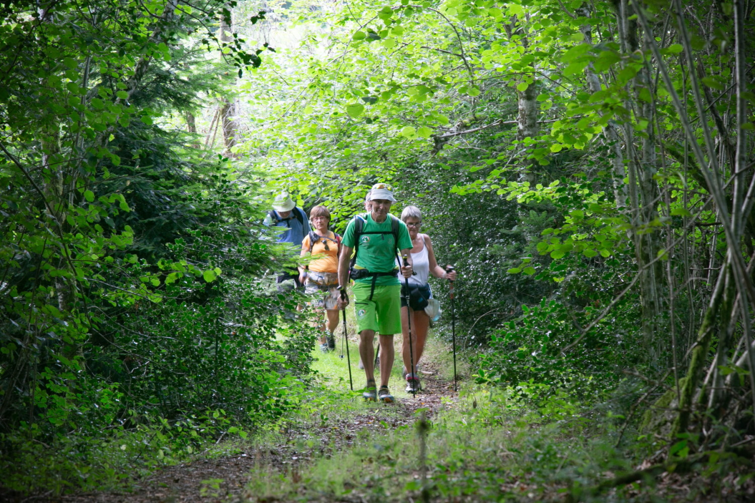 Accompagnateur En Montagne - photo 3