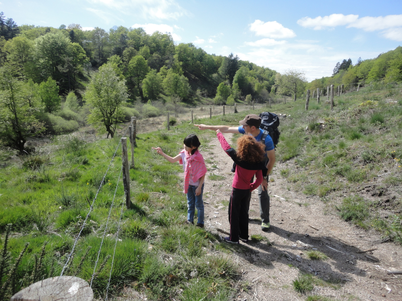 Accompagnateur En Montagne - photo 2