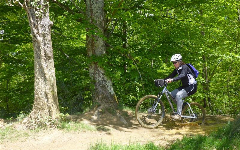VTT 1 Les Bois de Carrasquet à Sargaillouse