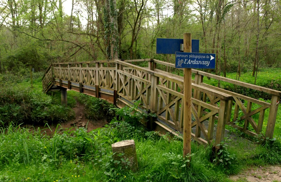 Balade à Roulettes n°29 : Les Barthes de l'Ardanavy à Urcuit, Urcuit