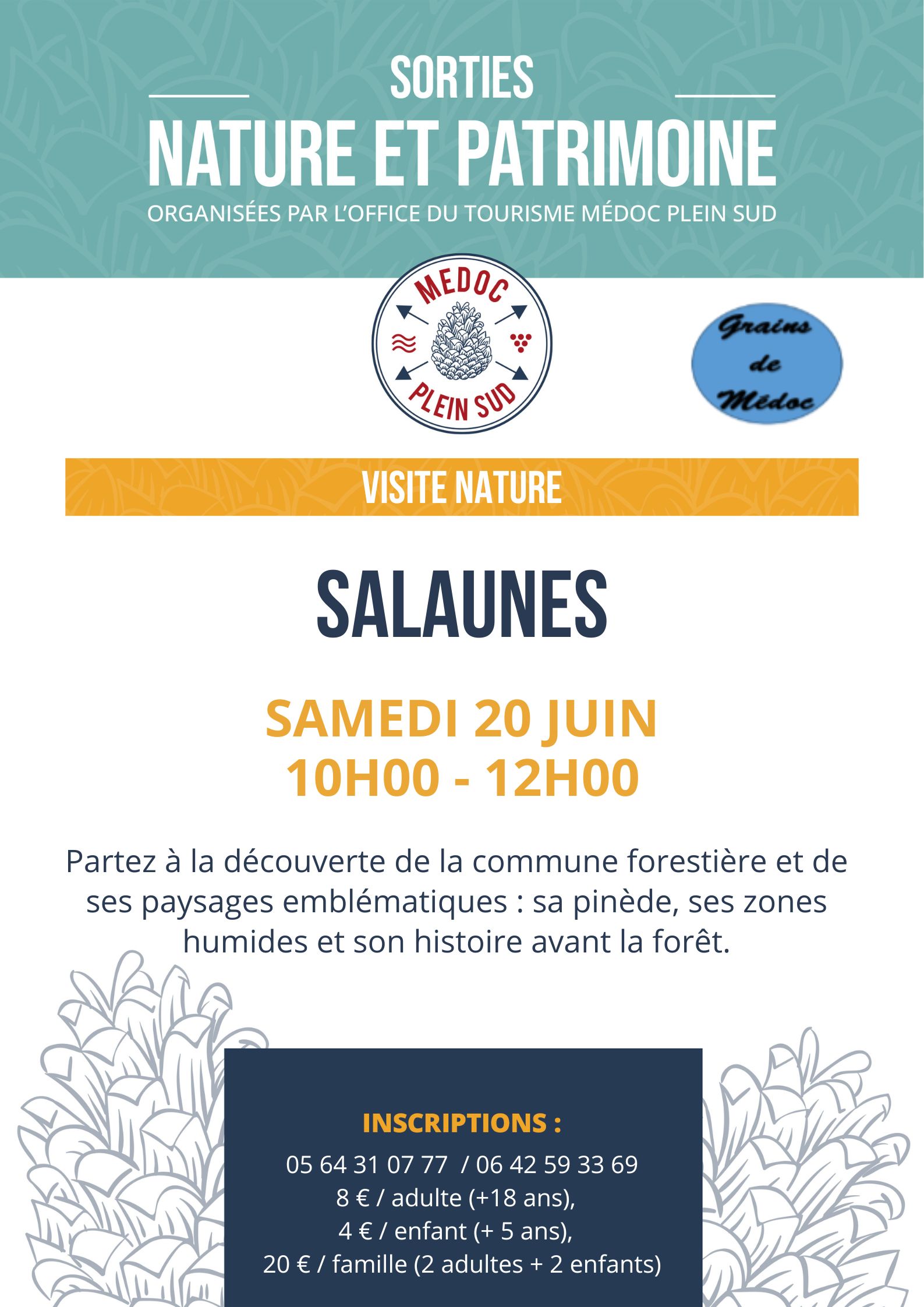 Sortie nature. Sortie découverte milieu naturel à Salaunes. — visuel événement
